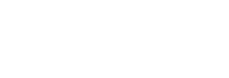 NYE.co.nz Logo
